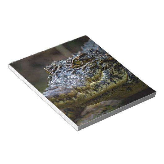 Bloc-notes Crocodile (Incliné)