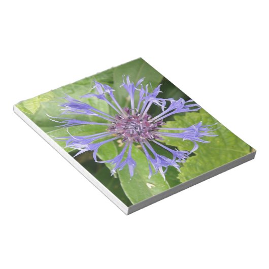 Bloc-notes de Cornflower bleu (Incliné)