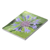 Bloc-notes de Cornflower bleu (Tourné)