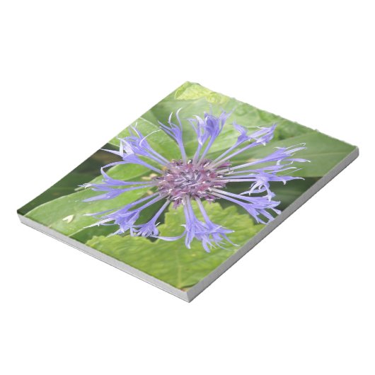 Bloc-notes de Cornflower bleu (Tourné)