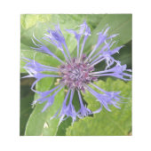 Bloc-notes de Cornflower bleu (Devant)