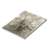 Bloc-notes de cricket Brown (Tourné)