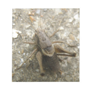 Bloc-notes de cricket Brown