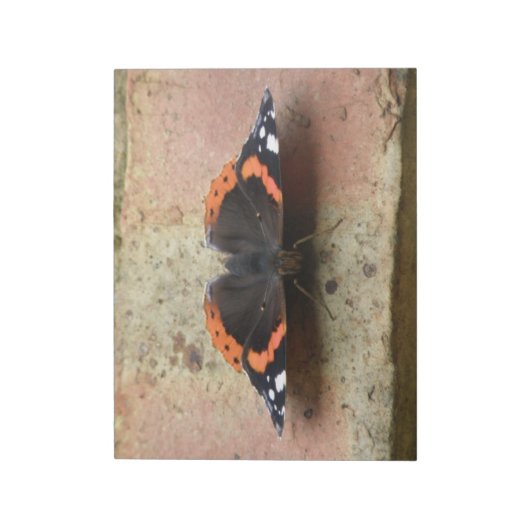 Bloc-notes de l'amiral rouge (Tourné)