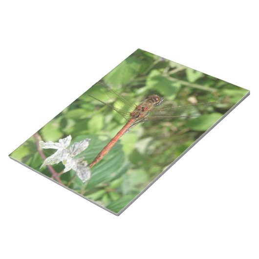 Bloc-notes de libellule de fléchette commune (Incliné)