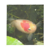 Bloc-notes de poisson rouge (Devant)