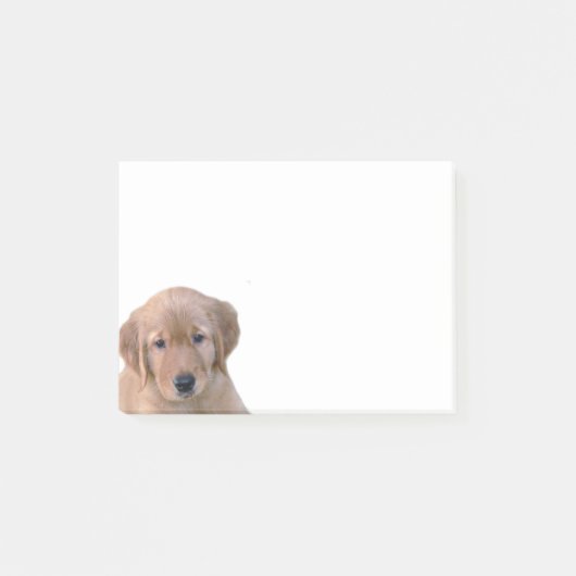 Bloc-notes de post-it de golden retriever (Devant)