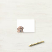 Bloc-notes de post-it de golden retriever (Sur un bureau)