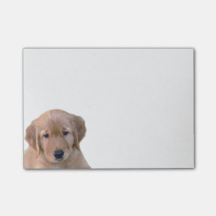 Bloc-notes de post-it de golden retriever