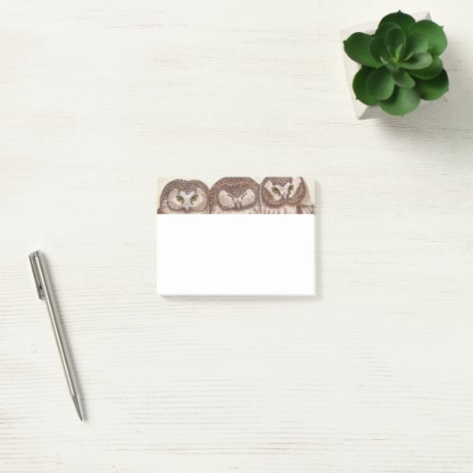Bloc-notes de post-it de hibou (Bureau)