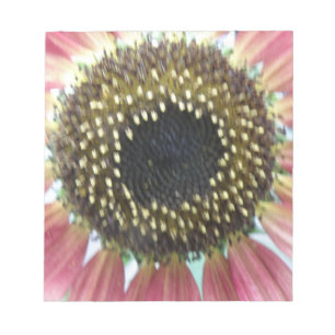 Bloc-notes de tournesol rose