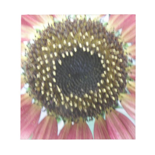 Bloc-notes de tournesol rose (Devant)