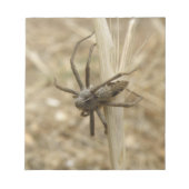 Bloc-notes déplaisant Crawspider (Devant)