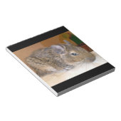Bloc-notes détendu Degu (Incliné)