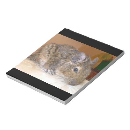 Bloc-notes détendu Degu (Tourné)