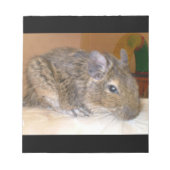 Bloc-notes détendu Degu (Devant)