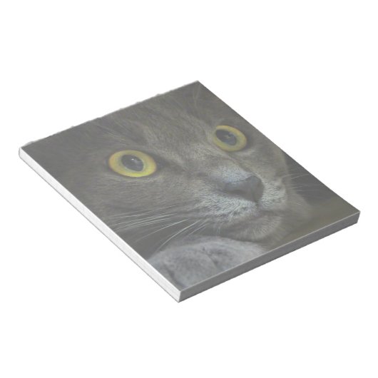 Bloc-notes d'intensité (Incliné)