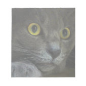 Bloc-notes d'intensité (Devant)