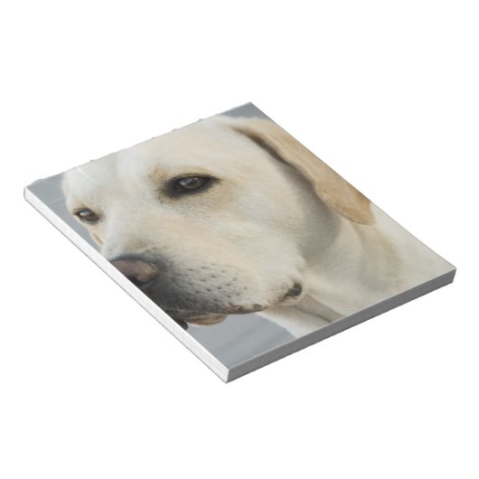 Bloc-notes du laboratoire jaune (Incliné)