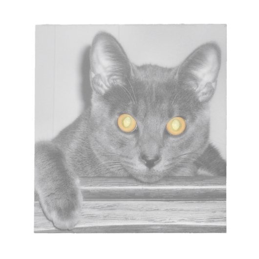 Bloc-notes Dusky Gold (Devant)