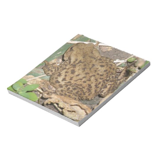 Bloc-notes européen commun (Tourné)