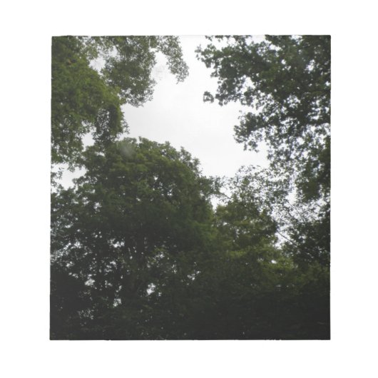 Bloc-notes Forêt déplaisante (Devant)