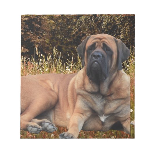 Bloc-notes français de Bulldogen Mastiff (Devant)
