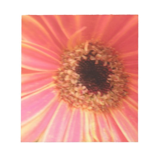 Bloc-notes Gerbera Daisy Flower (Devant)