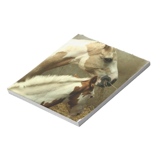 Bloc-notes Gray Eventiler Horse (Tourné)