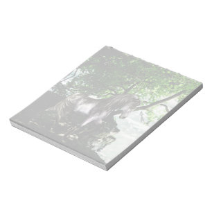 Bloc-notes Great River Divide