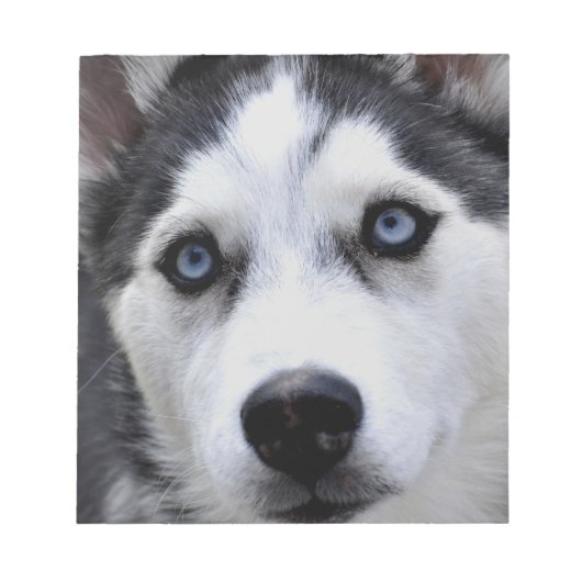 Bloc-notes Husky Puppy (Devant)