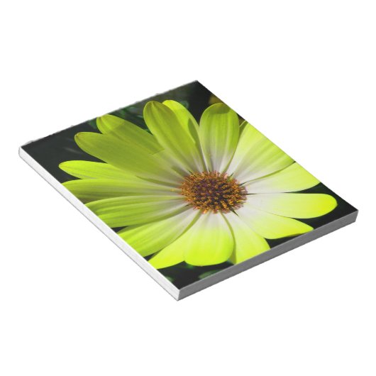 Bloc-notes jaune Fluorescent Faisceau (Incliné)