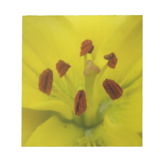 Bloc-notes jaune Lily Floral (Devant)