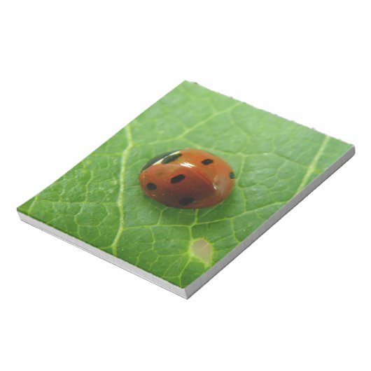 Bloc-notes Ladybug (Tourné)