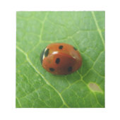 Bloc-notes Ladybug (Devant)