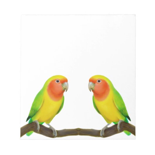 Bloc-notes Lovebird Lovebird (Devant)