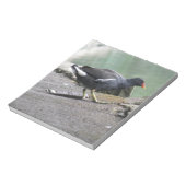 Bloc-notes Moorhen (Tourné)