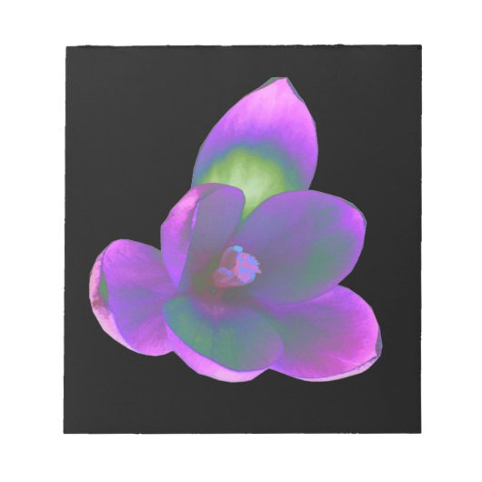 Bloc-notes Mystic Beauque Crocus (Devant)