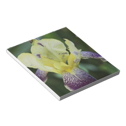 Bloc-notes orchidée rare (Incliné)