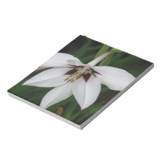 Bloc-notes orchidées (Tourné)