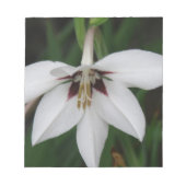 Bloc-notes orchidées (Devant)