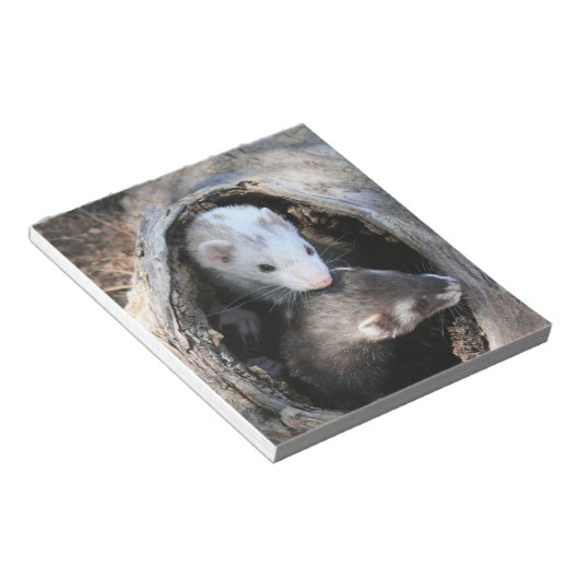 Bloc-notes Pals (Incliné)