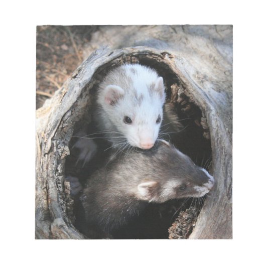 Bloc-notes Pals (Devant)