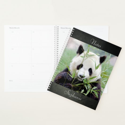 Bloc-notes Panda géant photo, animaux 04. carnet (Devant avec enveloppe)