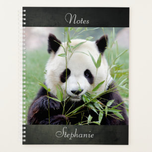 Bloc-notes Panda géant photo, animaux 04. carnet