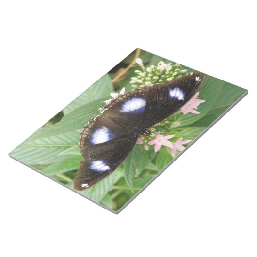 Bloc-notes papillon à points bleus (Incliné)