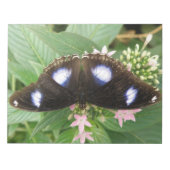 Bloc-notes papillon à points bleus (Devant)