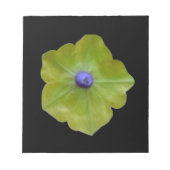 Bloc-notes Petunia vert et bleu (Devant)