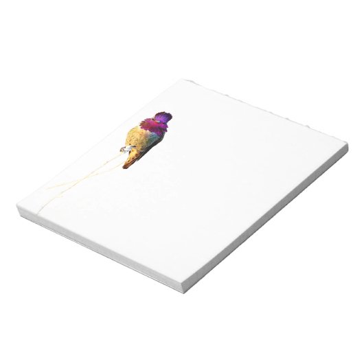 Bloc-notes photo d'Anna's Hummingbird (Tourné)