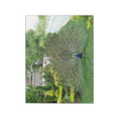 Bloc-notes photo Peacock (Tourné)